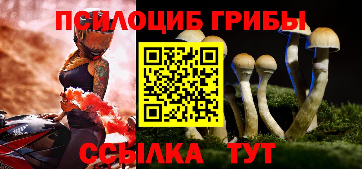 Галлюциногенные грибы Psilocybine cubensis  Вход с VPN  Нижний Тагил  Псилоцибиновые грибы Psilocybe 